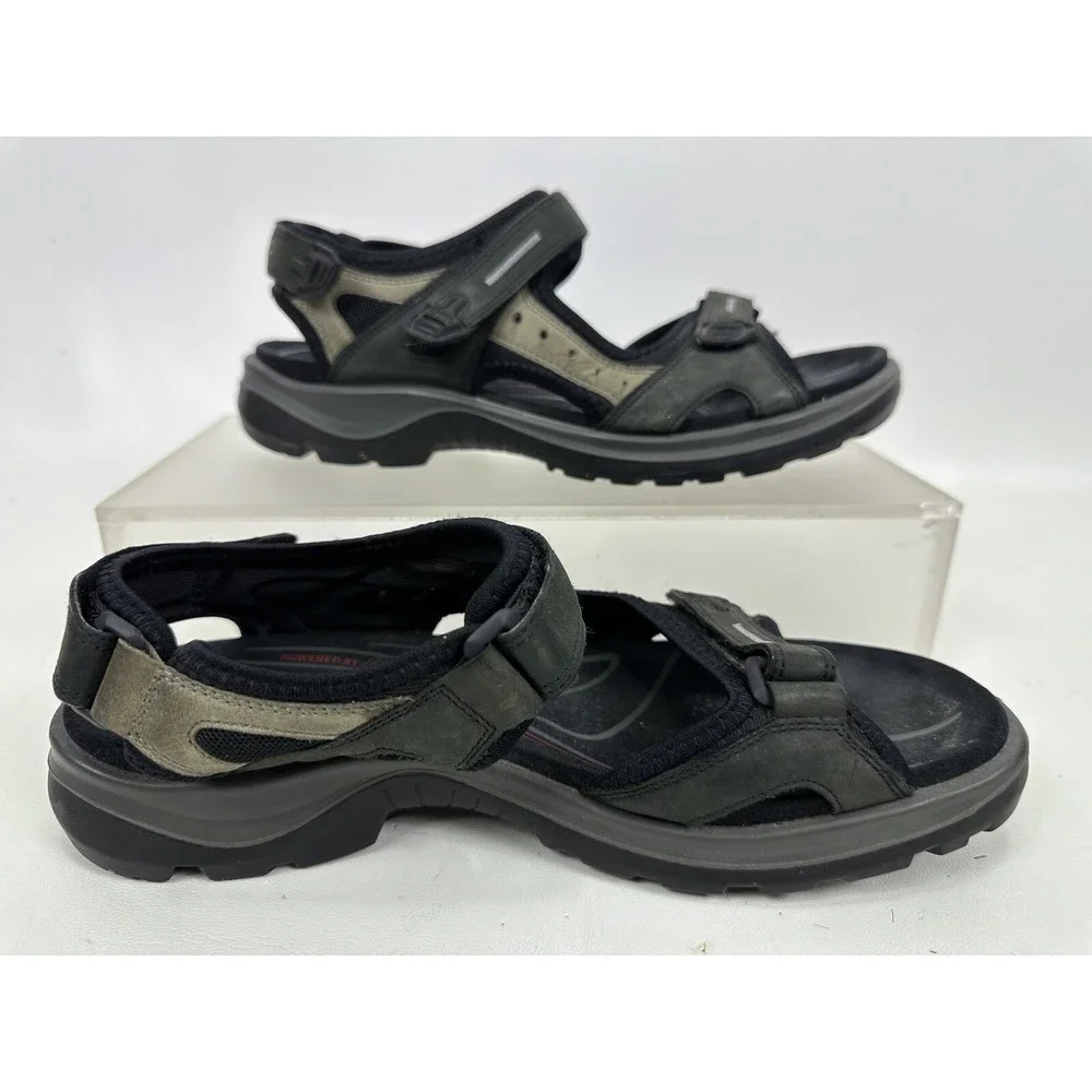 Ecco yucatan receptor